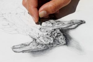 Le dessin : une belle vocation